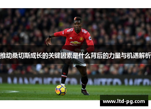 推动桑切斯成长的关键因素是什么背后的力量与机遇解析 推动桑切斯成长的关键因素是什么背后的力量与机遇解析