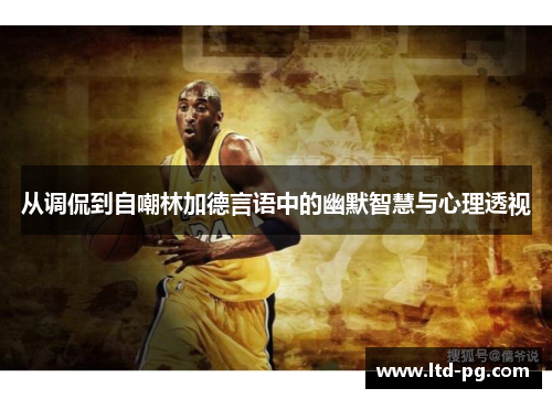 从调侃到自嘲林加德言语中的幽默智慧与心理透视