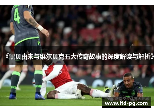 《黑贝由来与维尔贝克五大传奇故事的深度解读与解析》