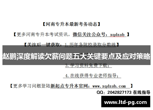 赵鹏深度解读欠薪问题五大关键要点及应对策略